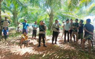 Petani Sawit Diminta Rutin Cek Kebun Selama Libur Lebaran