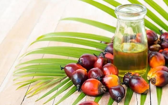 Uni Eropa Hentikan Penyelidikan Antisubsidi Produk Asam Lemak Asal Indonesia 