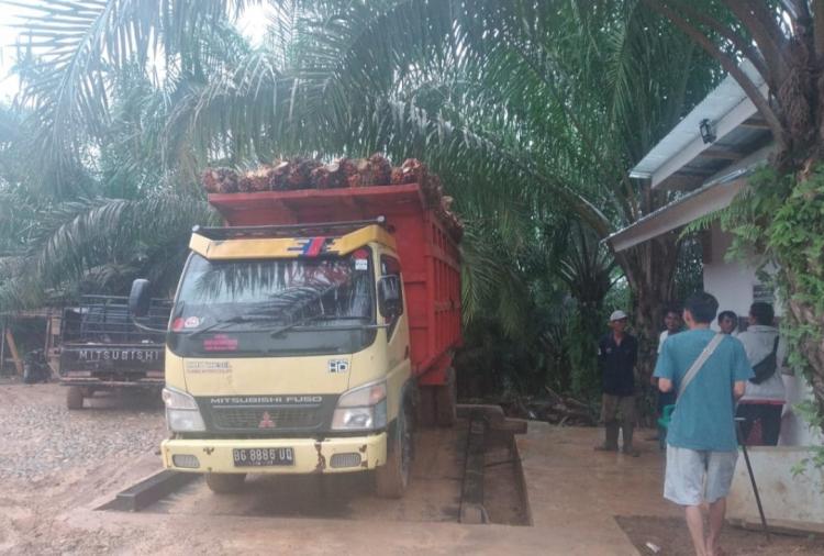 Beli TBS Lebih Rendah dari Harga Pabrik, ini Alasan Pemilik Ram