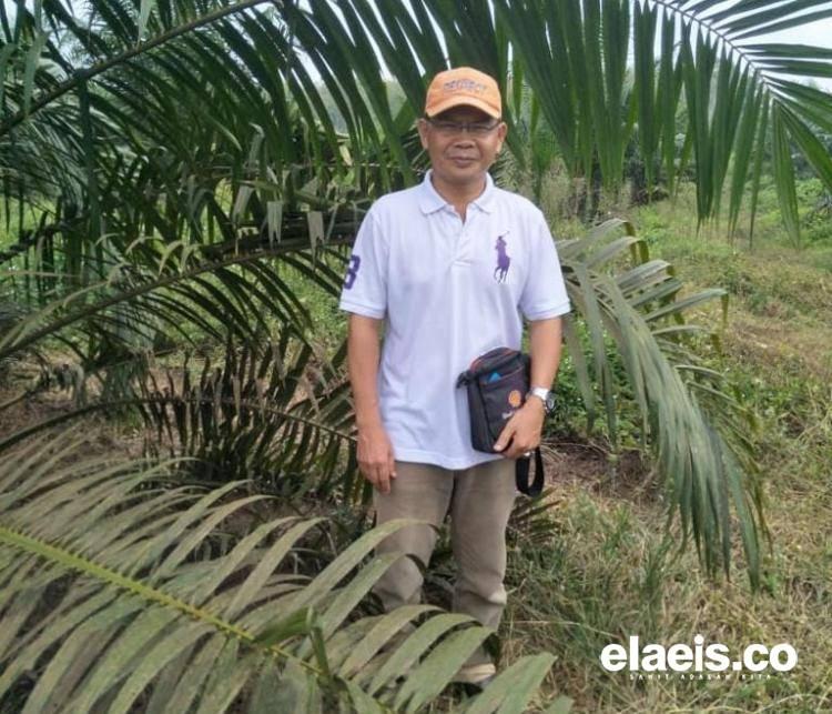 Apkasindo Dukung Target Bateng Remajakan 100 Hektar Kebun Sawit di 2023