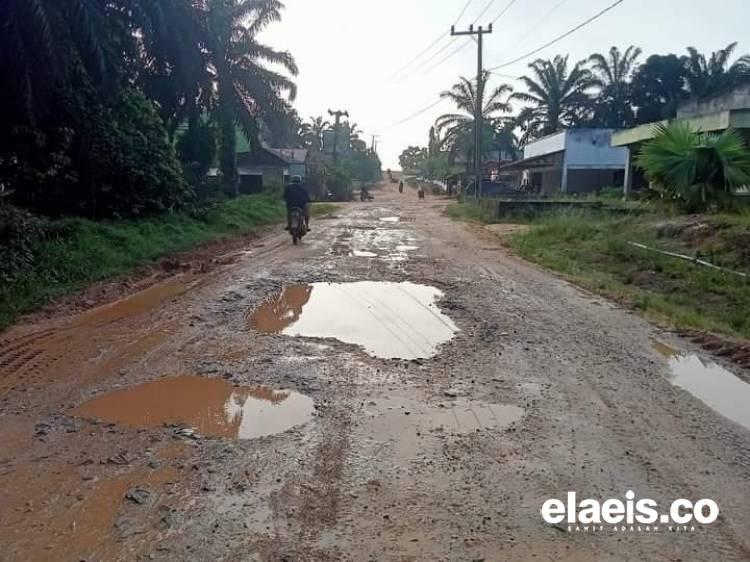 Petani Sawit di Daerah Ini Berkontribusi Rawat Jalan Pemda 