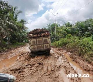 Kondisi Jalan Sentra Perkebunan Dikeluhkan, Maklum Sudah 14 Tahun Tak Disentuh Pembangunan