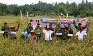 Daerah ini Andalkan PLTS Hentikan Alih Fungsi Sawah Jadi Kebun Sawit