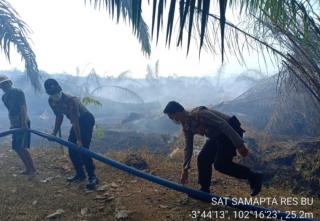 Petani Sawit Diminta Hindari Penggunaan Api di Kebun