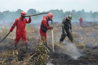 Waspada! Hari Ini Riau Cerah Berawan, Potensi Karhutla Tinggi