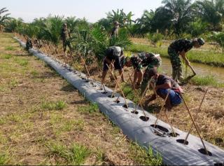 Petani Sawit Diajak Tanam Komoditas Pangan Strategis, BI Janjikan Beri ini