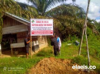 Petani Mitra PT SRK Berontak, Kebun Sawit Dipasangi Plang Larangan Panen 