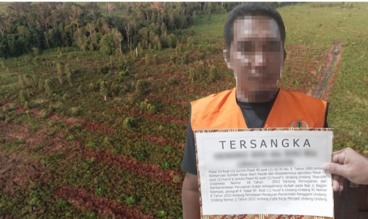 Perambah ini Klaim Kebun Sawit di Taman Nasional Tanjung Puting Tanah Nenek Moyangnya