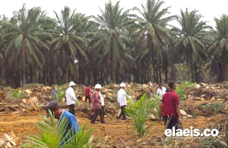 Kecil, Baru Segini Realisasi Target PSR 2023 di Riau