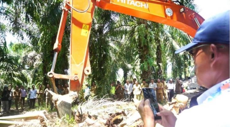 Peremajaan Kebun Sawit Rakyat di Bengkulu Butuh Biaya Rp 183 Miliar