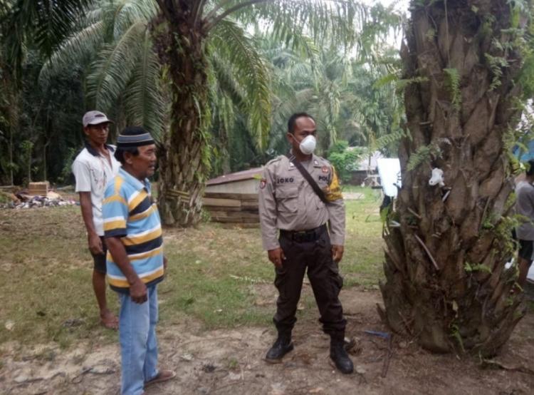 Banyak Pensiunan di Bengkulu Pilih Menjadi Petani Sawit