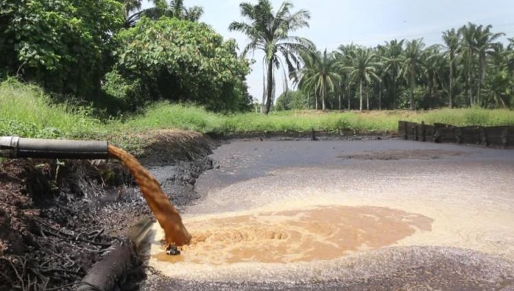 Akademisi Bengkulu Diminta Perbanyak Riset Pemanfaatan Limbah Cair Sawit