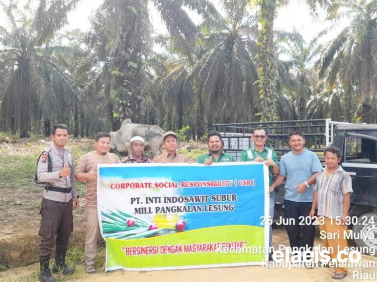 Lebaran Haji, Warga Dapat Daging Hewan Kurban dari Anak Usaha Korporasi Sawit 