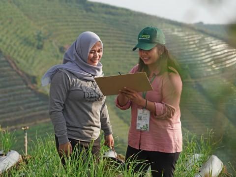 Sensus Pertanian di Bengkulu Dihadapkan Sejumlah Kendala, Ini Pesan BPS kepada Petani Sawit