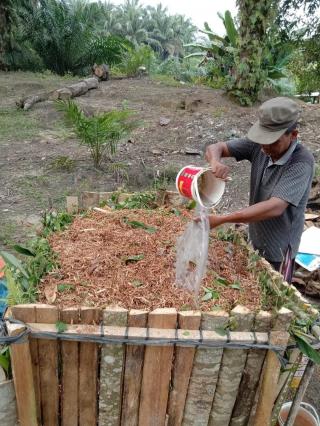 Banyak Petani Sawit di Bengkulu Beralih ke Pupuk Organik