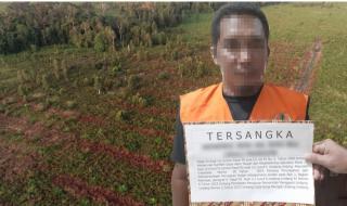 Perambah ini Klaim Kebun Sawit di Taman Nasional Tanjung Puting Tanah Nenek Moyangnya