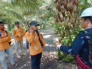 Mendapat Banyak Ilmu dari Pelatihan, Darwin Bertekad Menjadi Petani Sawit yang Sukses