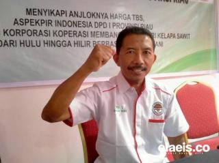 Presiden Inginkan Ekspor Barang Setengah Jadi, Begini Pandangan Aspekpir Riau