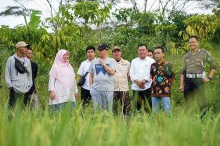 Dukung Sawit, tapi Gubernur Bengkulu Minta Setop Alih Fungsi Sawah Jadi Kebun Sawit