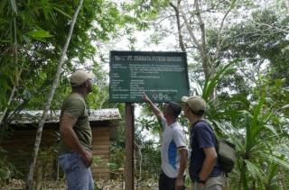 Pakai Hutan untuk Jalan Truk Sawit, Perusahaan ini Tunaikan Kewajiban Rehabilitasi DAS