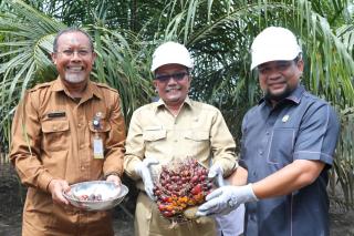 Sekda Siak Salut Kebun Program PSR Bisa Panen 30 Bulan 