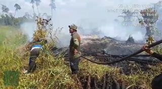 10 Hektar Kawasan SM Giam Siak Kecil Dibakar, Diduga untuk Kebun Sawit 