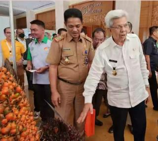 Belum Separuh Kebun Sawit Di Sumsel Kantongi ISPO, ini Kendalanya