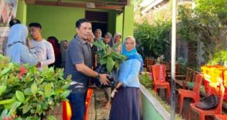 Dorong Diversifikasi, Bibit Pisang Cavendish Dibagikan ke Petani Sawit Bengkulu