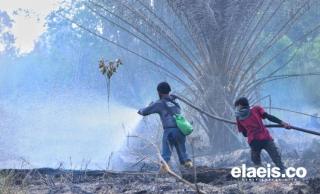 Ribuan Hektar Cagar Biosfer Giam Siak Kecil Rusak, Sudah 650 Hektar jadi Kebun Sawit 