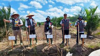 Wujudkan Ekonomi Sirkular, BRIN Panen Raya Jagung di Lahan Replanting Sawit