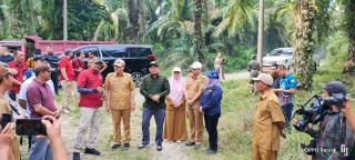 Terdampak Proyek PPN, Pemilik Kebun Sawit Minta Ganti Untung