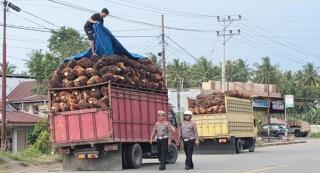 Murahnya Harga TBS Ancam Bisnis Toke Sawit dan Gerus Penjualan Truk