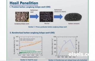 Indonesia Bisa Hasilkan Energi Listrik 5 Juta MWh dari POME. Karbon Nanopori Cangkang Sawit 
