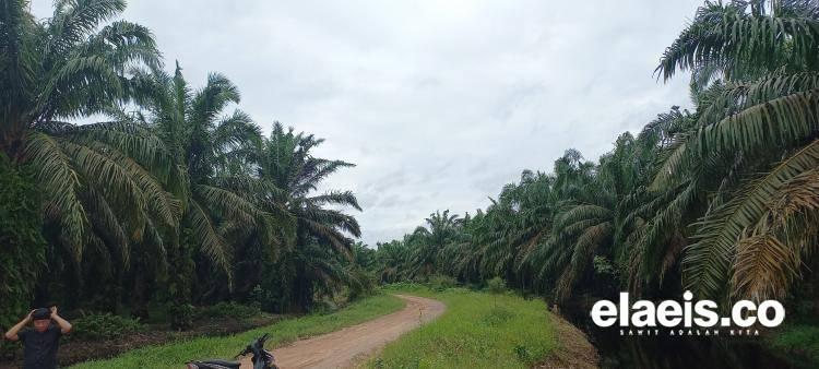 Soal Janji Koperasi Kakap Putih, DPRD Kutim Minta Warga Desa Pengadan Bikin Laporan