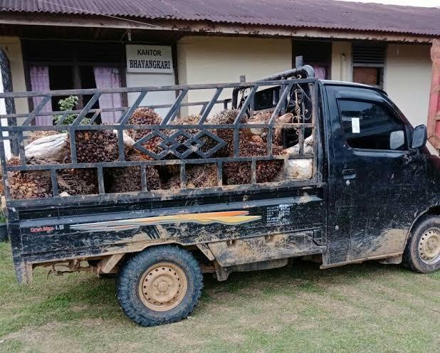 Angkutan Sawit di Bengkulu Banyak yang Dimodifikasi, Dishub: Perlu Tetap Patuhi Standar Keselamatan