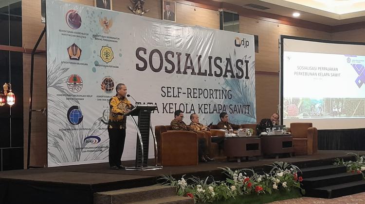 Data Perizinan Perkebunan Sawit Semrawut, Satgas Perintahkan Ini