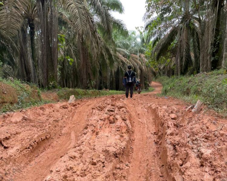 Kades Ini Lelah Perjuangkan Perbaikan Akses ke Kebun Sawit: Kami Sudah Menanti 12 Tahun