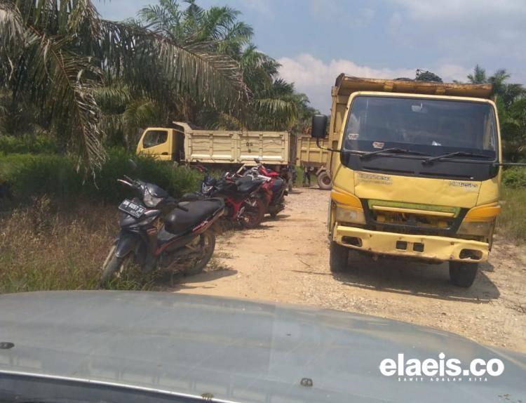 Kebun Dasrin di Dayun Masih di 