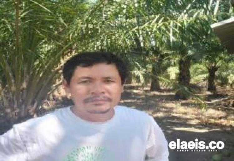 Petani Menaruh Harapan Besar pada Bursa Komoditi: Agar Indonesia Bisa Tentukan Sendiri Harga CPO-nya