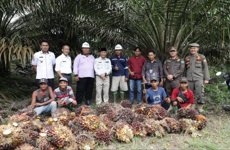 Muba Beri Perhatian Khusus pada Kebun Sawit Baru, Begini Bentuknya