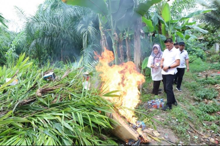 Petani Harus Waspada, Bibit Sawit Unggul dan Palsu Tak Bisa Dibedakan Secara Fisik