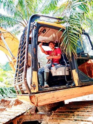 Biaya Steking Lahan Sawit di Bengkulu Makin Mahal, Per Hektarnya Segini 