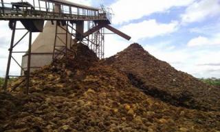 HIPMI Bengkulu akan Gandeng Pemda Kembangkan Industri Pellet Biomasa