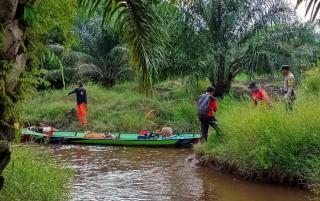 20 Hektar Lahan Hangus, ini Sanksi yang Menunggu Para Pembakar 