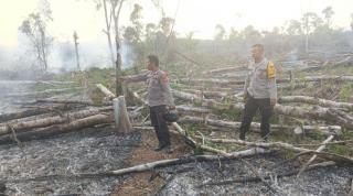 4 Warga Diringkus Gara-gara Buka Kebun Sawit, ini Masalahnya