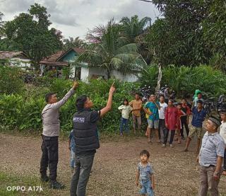 Mau Panen Sawit di Depan Rumah, 2 Remaja Tewas Kesetrum