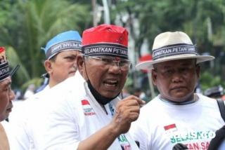 Setengah Persoalan Perkebunan Sawit Nasional Teratasi Jika Masalah di Kalteng Tuntas