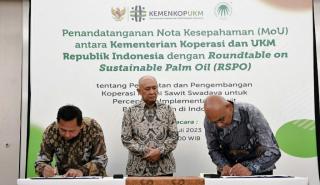 KemenKopUKM dan RSPO Kolaborasi Dorong Petani Sawit Swadaya Berkoperasi