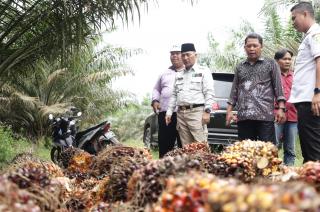 Muba Berharap Bisa Punya Pabrik Minyak Makan Merah