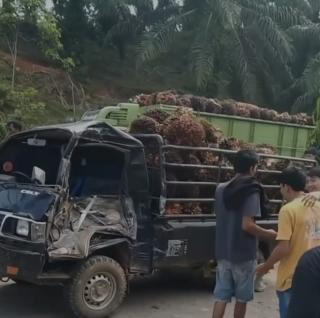 Tiga Truk Sawit Ringsek Saat Antre di PKS PT BSL II, ini yang Terjadi